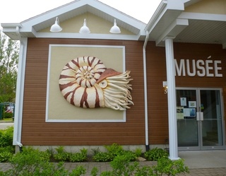 Musées de fossiles au Témiscamingue