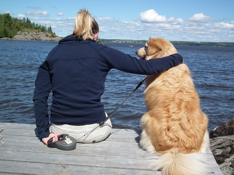 Hébergement qui acceptent des chiens