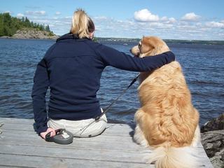 Hébergement qui acceptent des chiens
