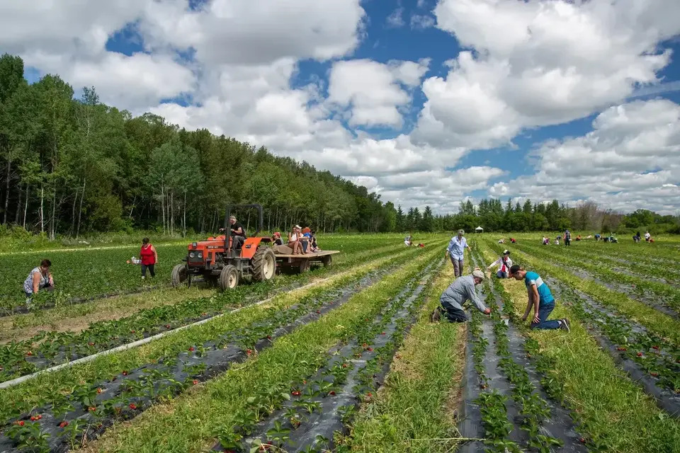 Des produits uniques au terroir témiscamien