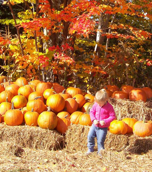 Jeune fille se repos dans le champ de citrouilles ...